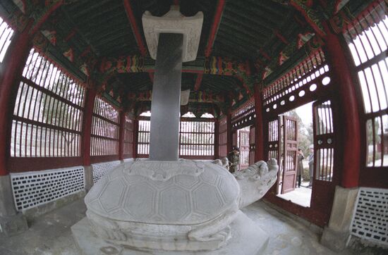 Stone turtle