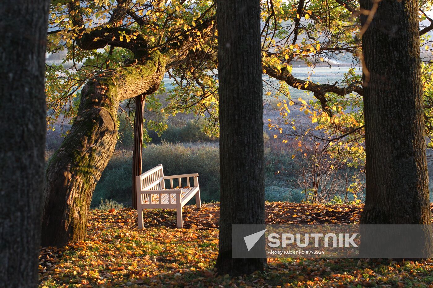 Onegin's Bench