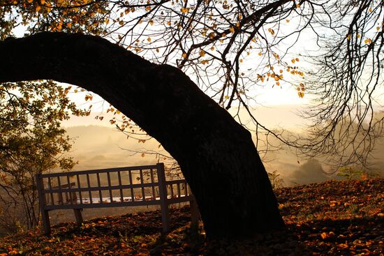 Onegin's Bench