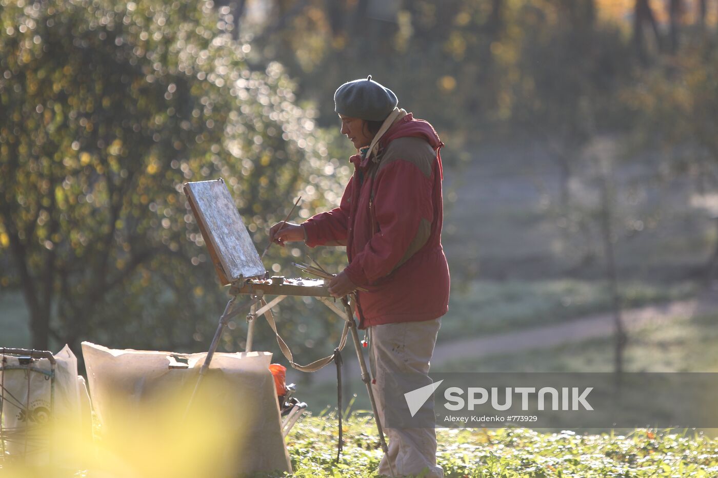 Golden autumn