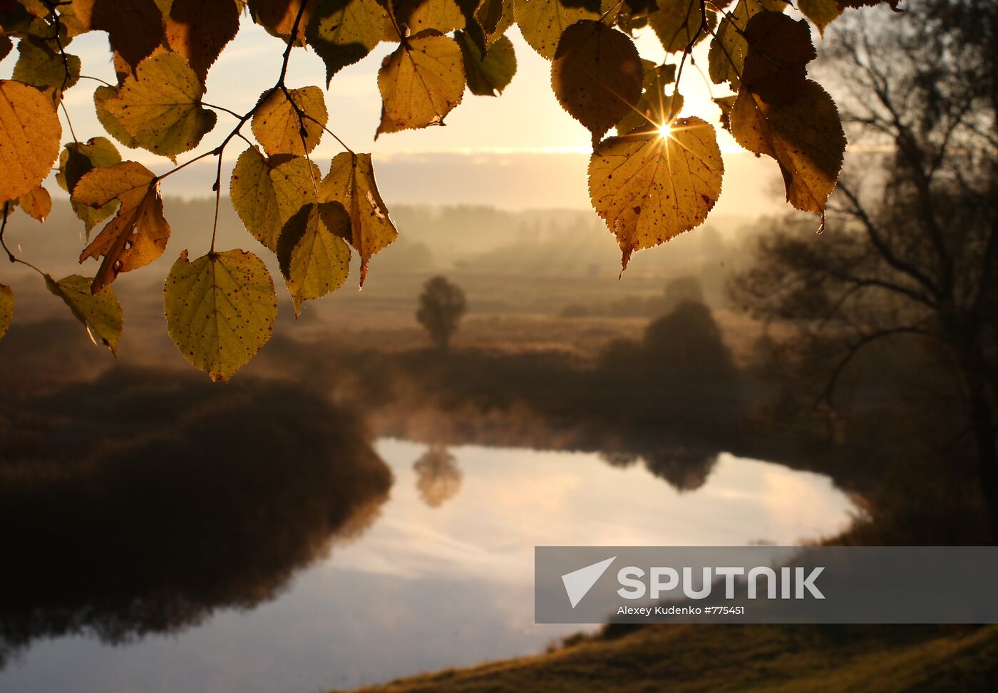 Fall
