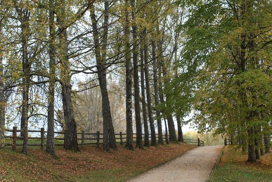 Mikhailovskoye estate