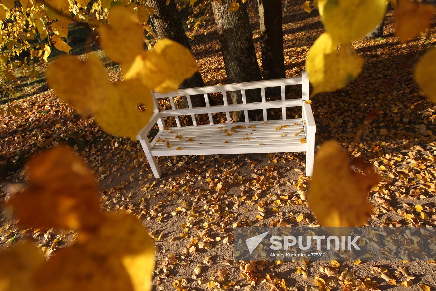 Onegin's bench