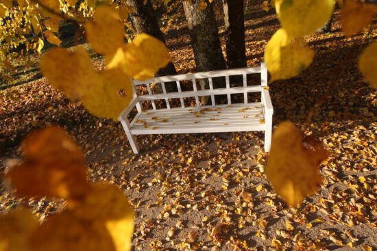 Onegin's bench