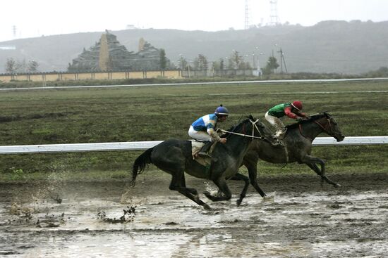 Horse race on Putin's birthday