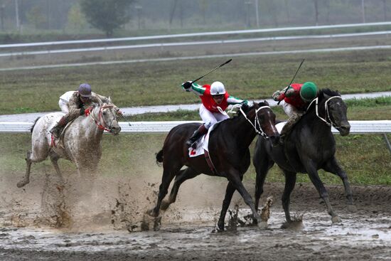 Horse race on Putin's birthday