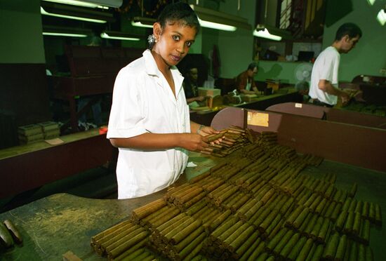 Tobacco processing plant in Cuba