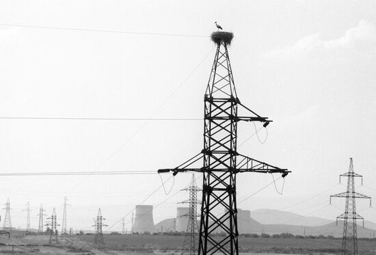 Stork's nest