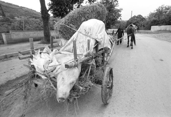 Everyday life, Nagorny Karabakh