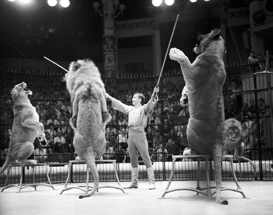 Show with trained lions