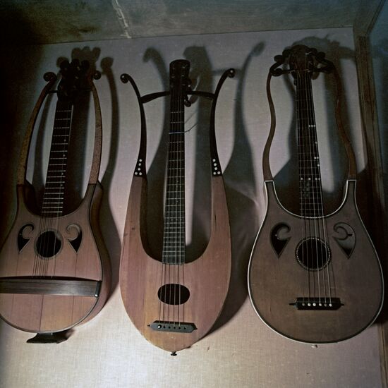 Lyriform guitars