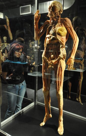 The human body: MORTUI VIVOS DOCENT exhibition kicks off