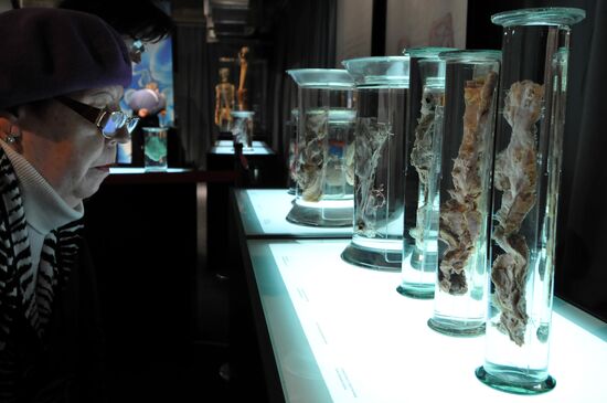The human body: MORTUI VIVOS DOCENT exhibition kicks off