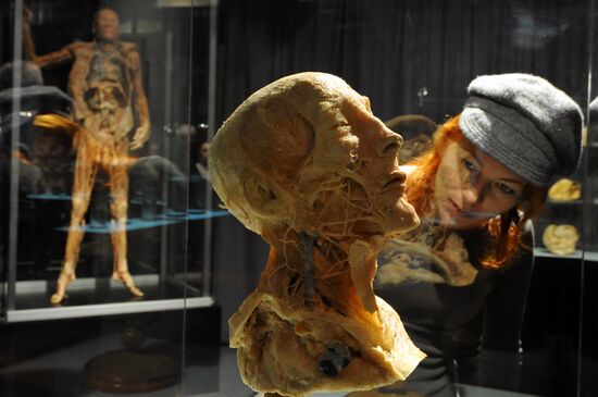 The human body: MORTUI VIVOS DOCENT exhibition kicks off