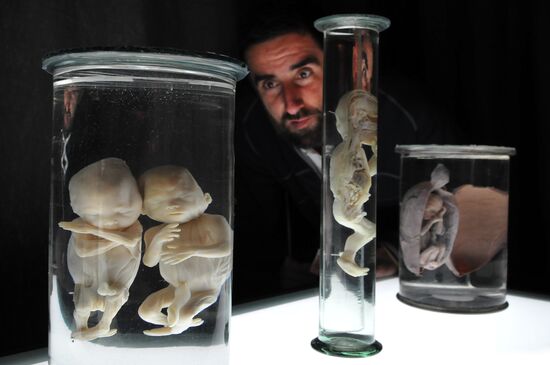 The human body: MORTUI VIVOS DOCENT exhibition kicks off