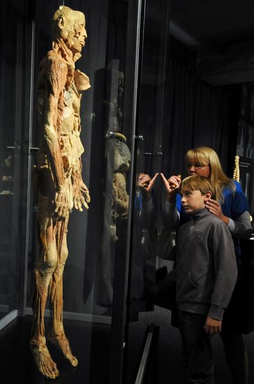 The human body: MORTUI VIVOS DOCENT exhibition kicks off