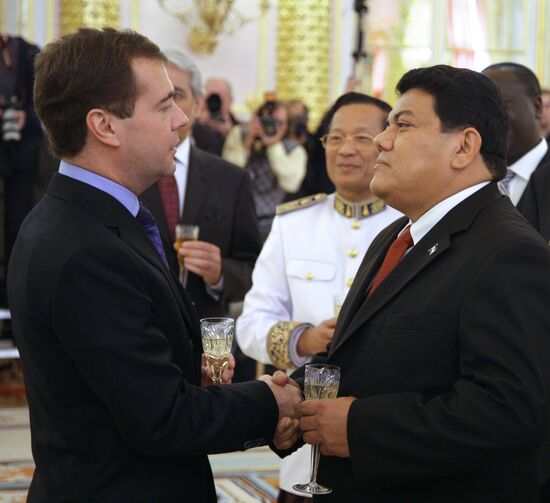 Dmitry Medvedev accepts ambassador credentials