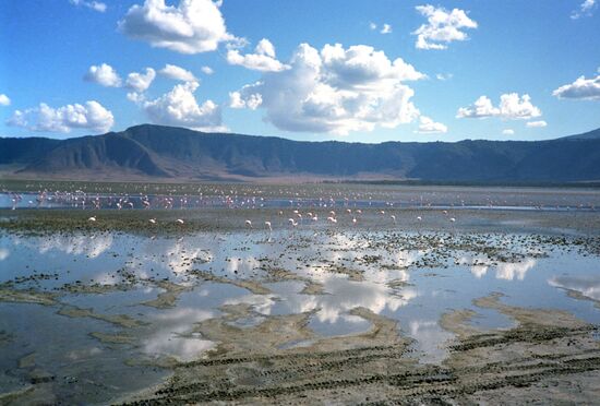 Ngorongoro Crater