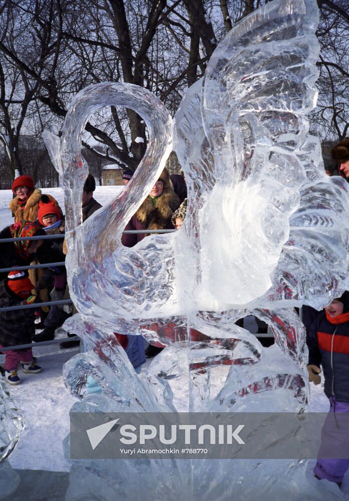 Ice Sculpture "Swan"