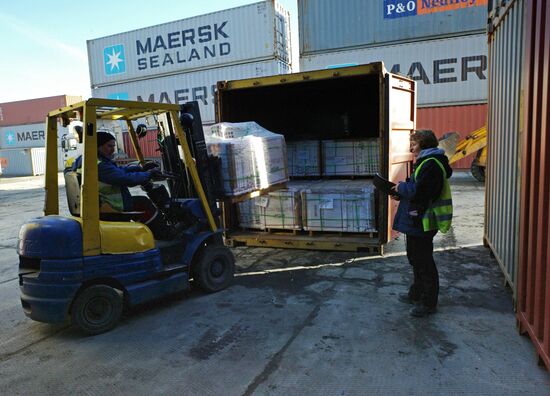 Container cargo terminal