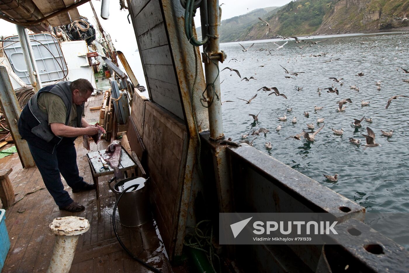 Kuril Islands