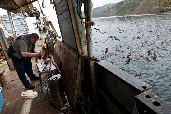 Kuril Islands