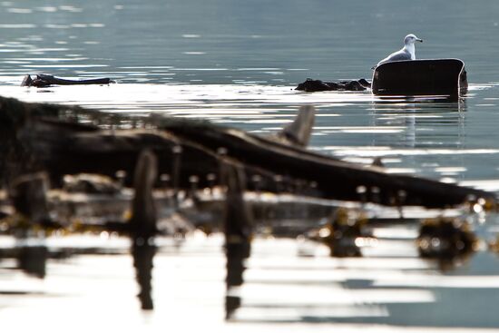 Naval ships wreckage