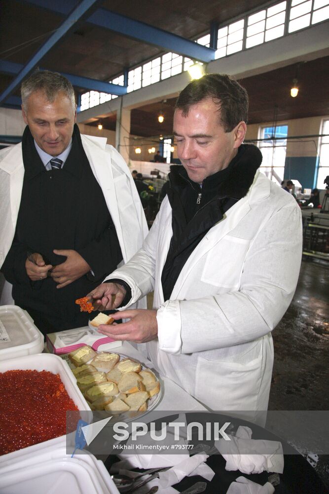 D. Medvedev on working trip to South Kuril islands