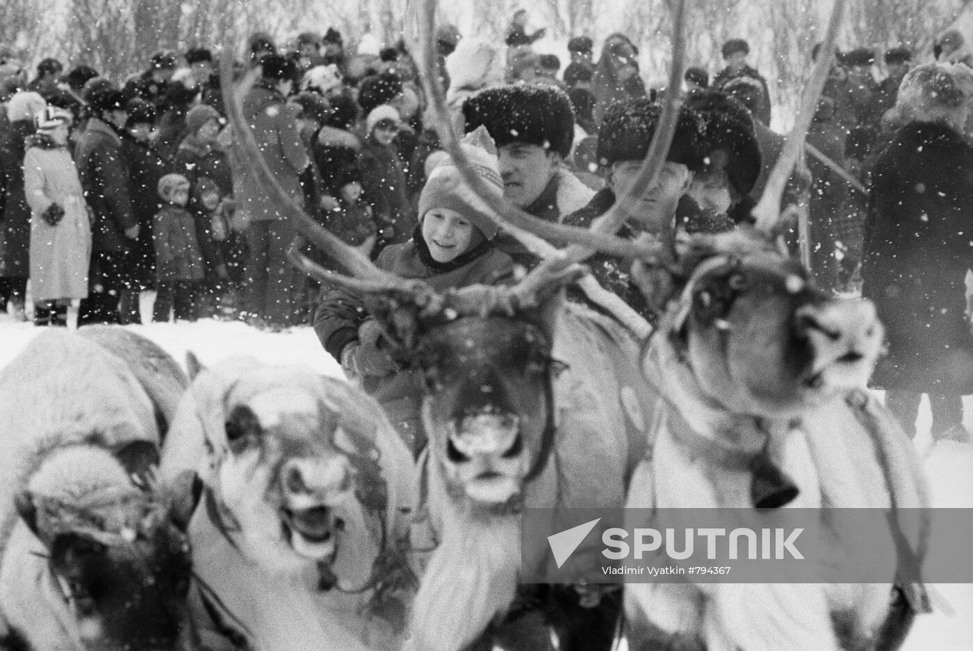 Festival of reindeer-breeders in Murmansk