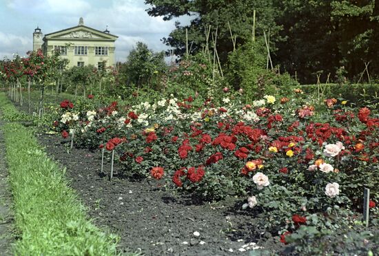 Select roses plot