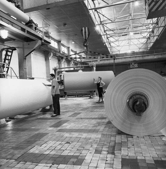 Kama pulp and paper plant