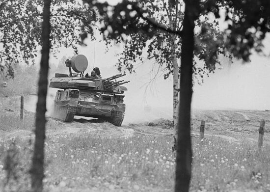 Taman motorized rifle division