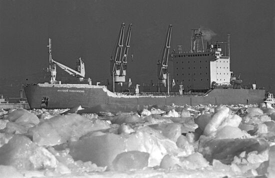 Motor ship "Anatoly Kolesnichenko"