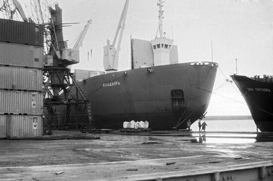Motor ship "Anadyr"