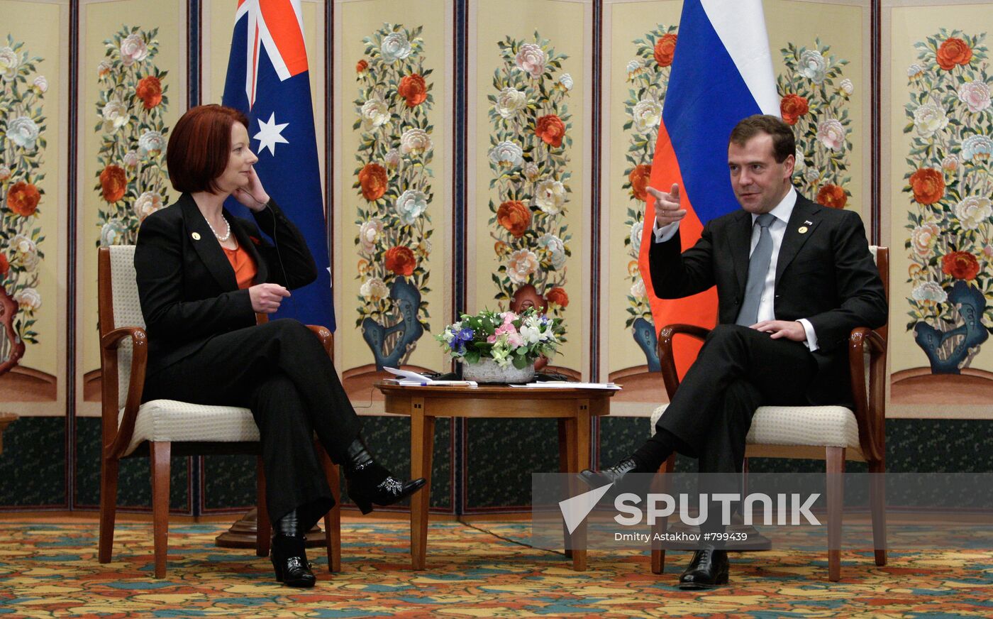 Dmitry Medvedev takes part in G20 summit in Seoul