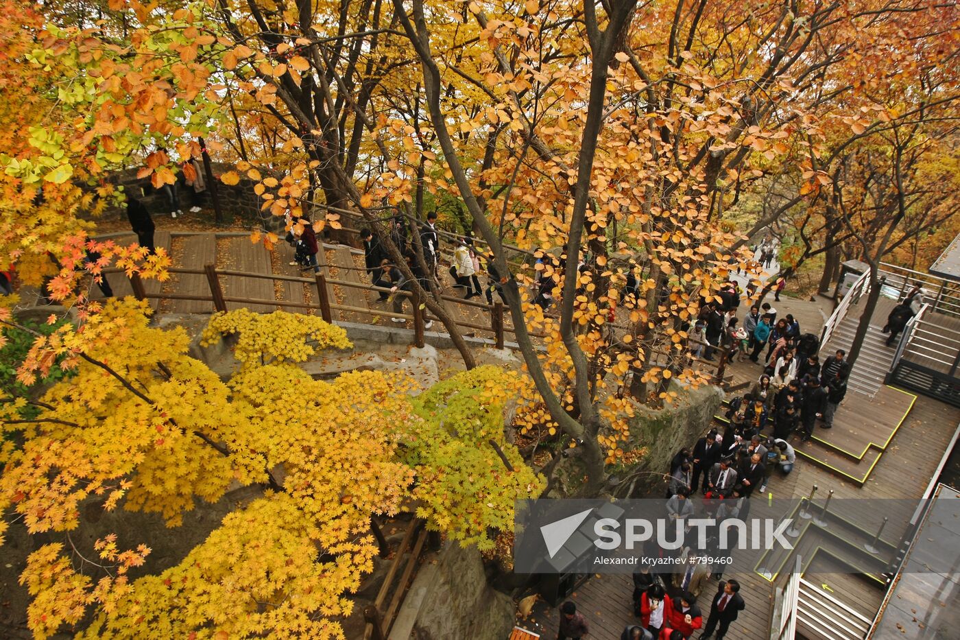 Views of Seoul