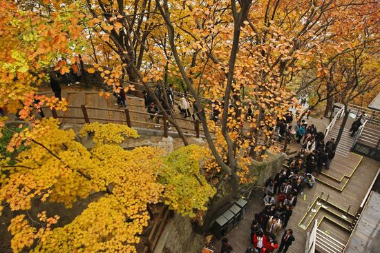 Views of Seoul