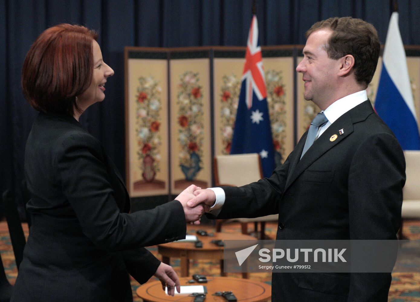 Dmitry Medvedev takes part in G20 summit in Seoul