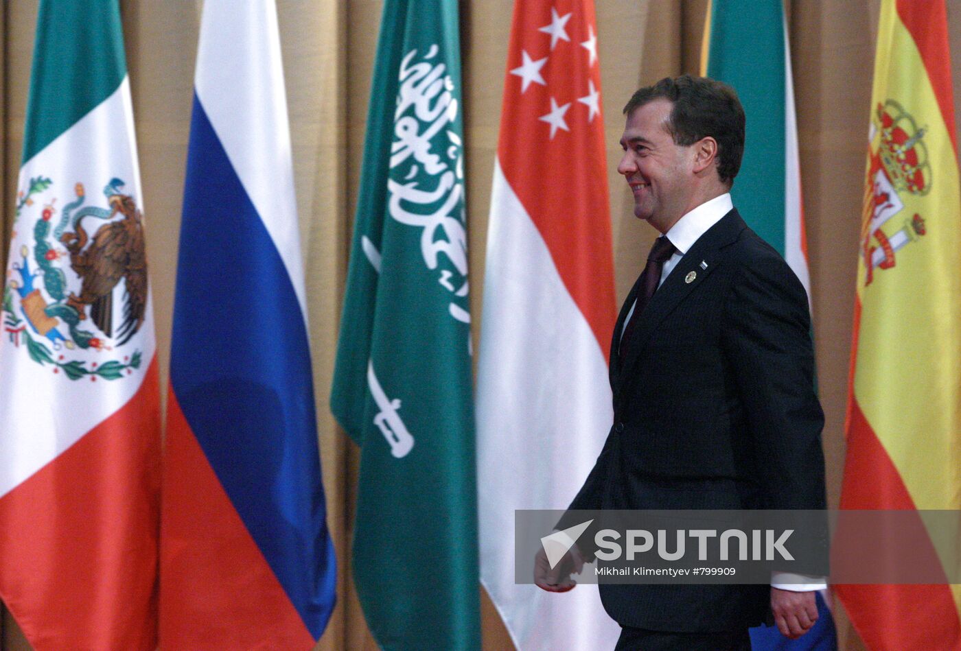 Dmitry Medvedev participates in G20 Summit in Seoul