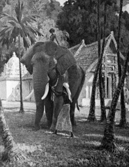 Vatagin lithography "On Ceylon"