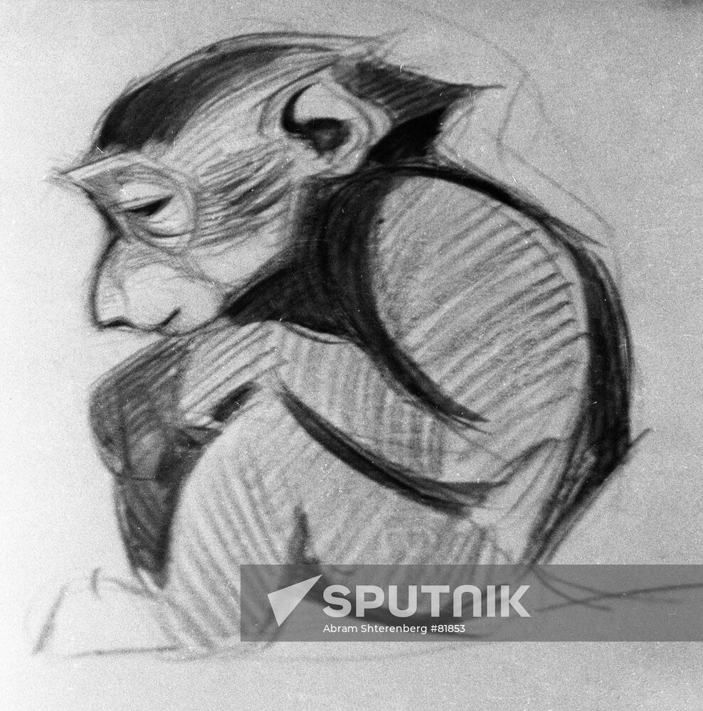 Vatagin Monkey