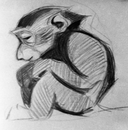 Vatagin Monkey