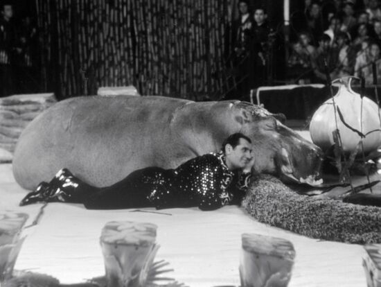 CIRCUS ANIMAL TAMER HIPPOPOTAMUS