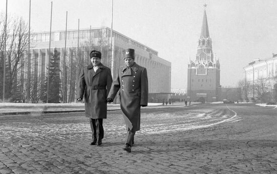 Gubarev Remek
