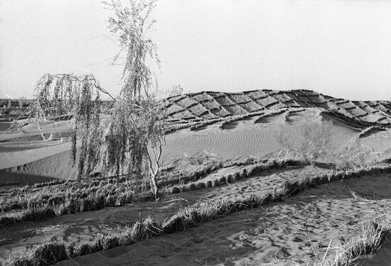 QUICKSAND PROTECTION