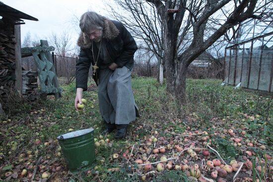Father Roman gathers apples in his orchard