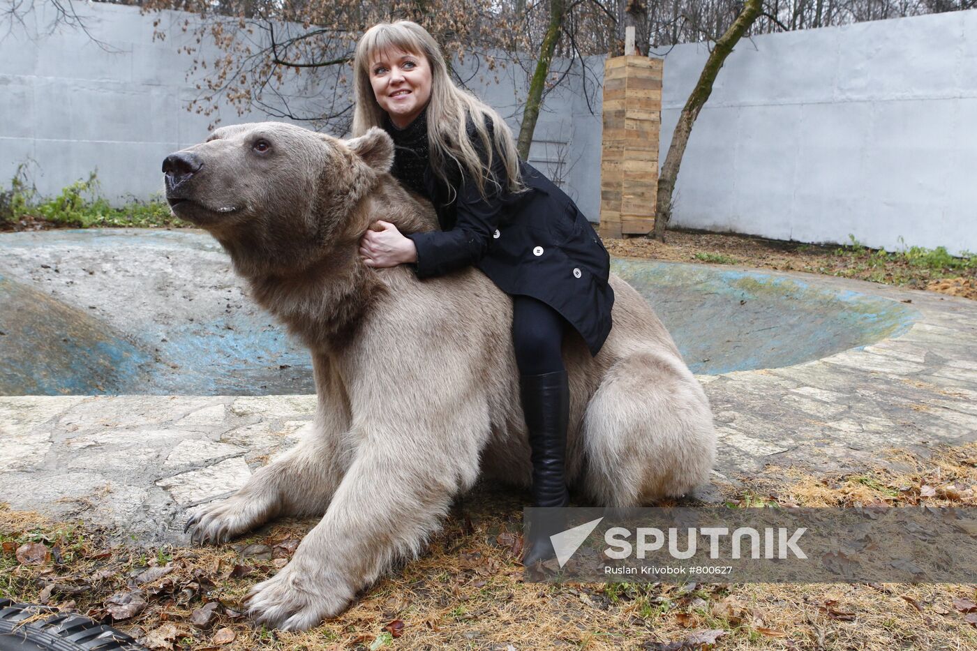 Stepan the Bear in Losiny Ostrov Park