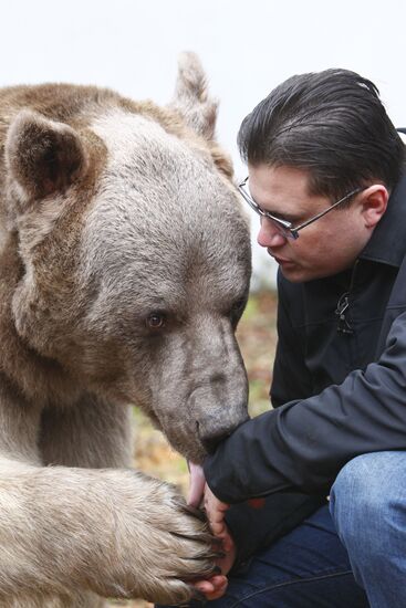 Stepan the Bear in Losiny Ostrov Park