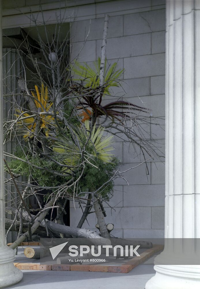 Glimmering Cloud ikebana arrangement