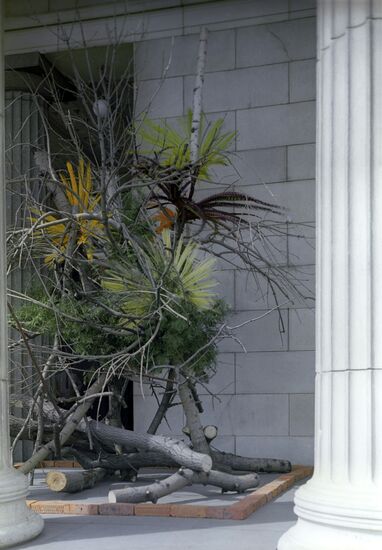 Glimmering Cloud ikebana arrangement